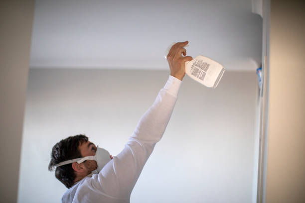 Best Mold Remediation  in Kidron, OH